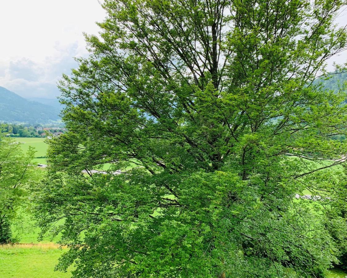 Buchenblick Apartment ชตรอเบิล ภายนอก รูปภาพ